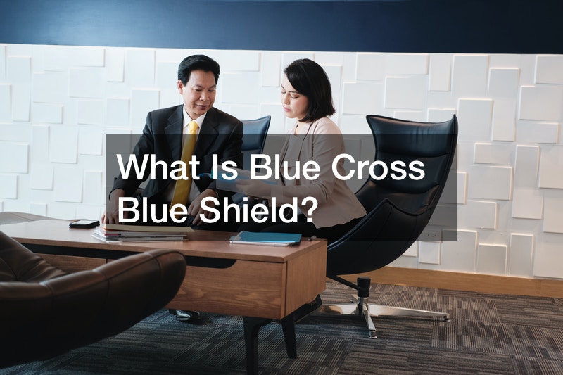 What Is Blue Cross Blue Shield Insurance Research Info